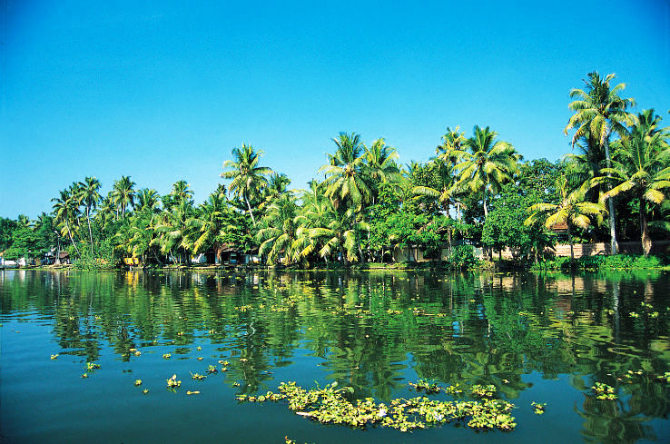 2. Kerala Backwaters